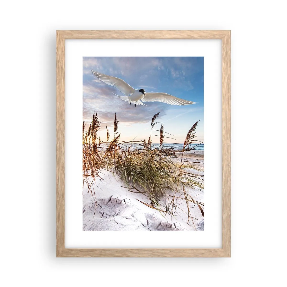 Affiche dans un chêne clair - Poster - Vent de mer - 30x40 cm