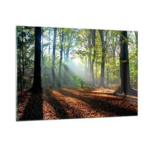 Impression sur verre - Image sur verre - Une forêt sous les rayons du soleil dans un paysage d'automne - 120x80cm - Ombres et lumières - Décoration murale moderne pour le salon et la chambre ARTTOR