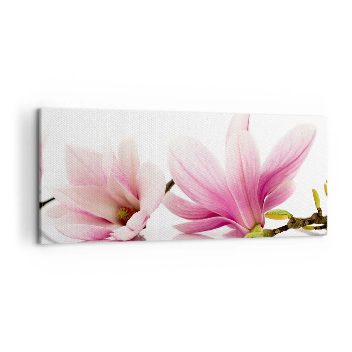 Impression sur toile - Image sur toile - Magnolias roses délicats sur fond blanc - 120x50cm - Délicat comme une brise de printemps - Décoration murale moderne pour le salon et la chambre ARTTOR