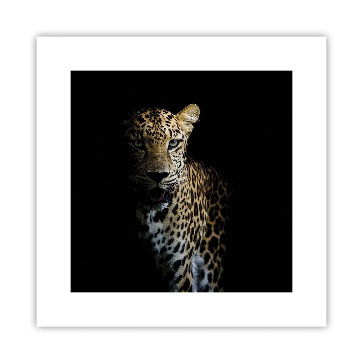 Affiche - Poster - Beauté sombre - 30x30 cm