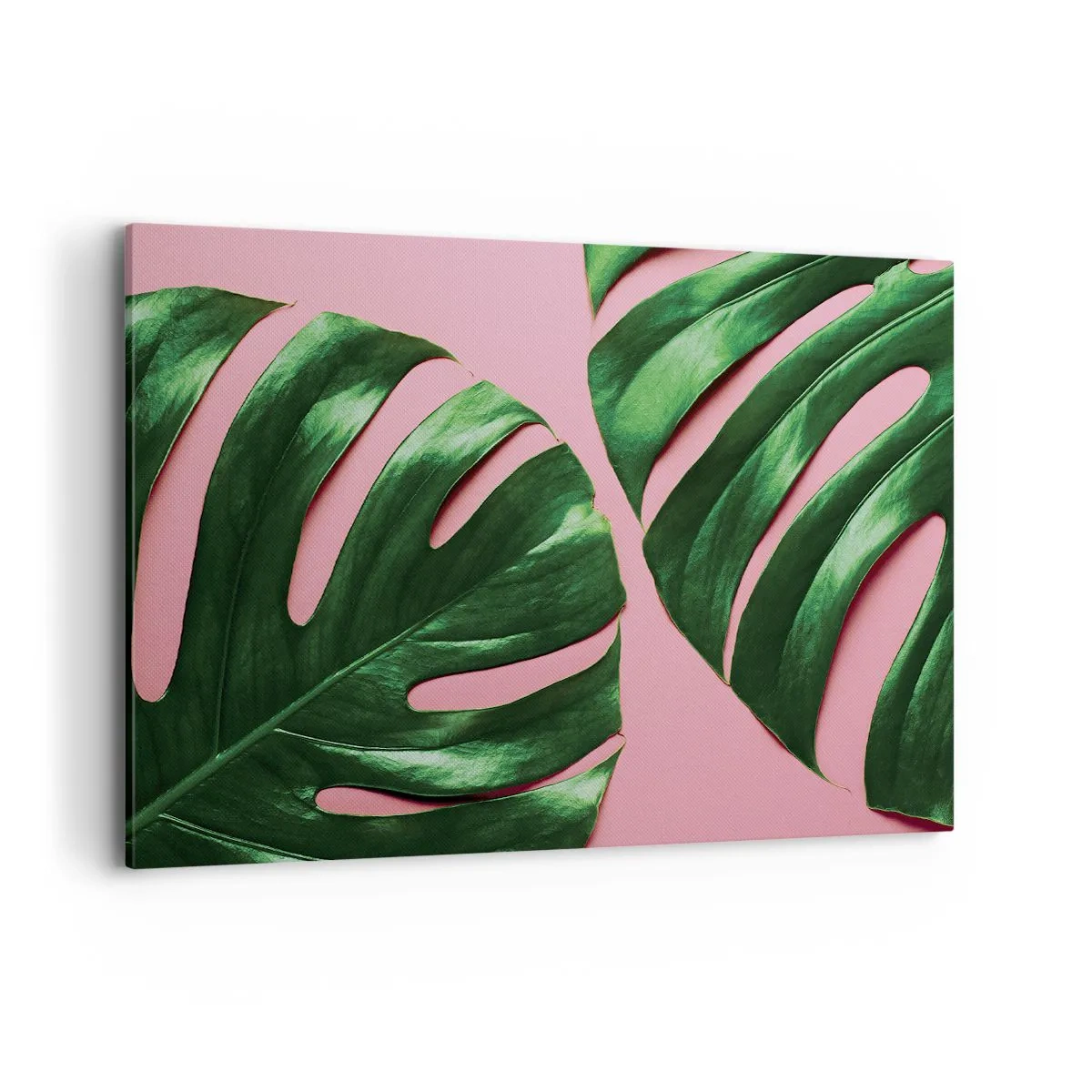 Impression sur toile - Image sur toile - Feuilles de monstera vertes sur fond rose - 100x70cm - Rendez-vous vert - Décoration murale moderne pour le salon et la chambre ARTTOR