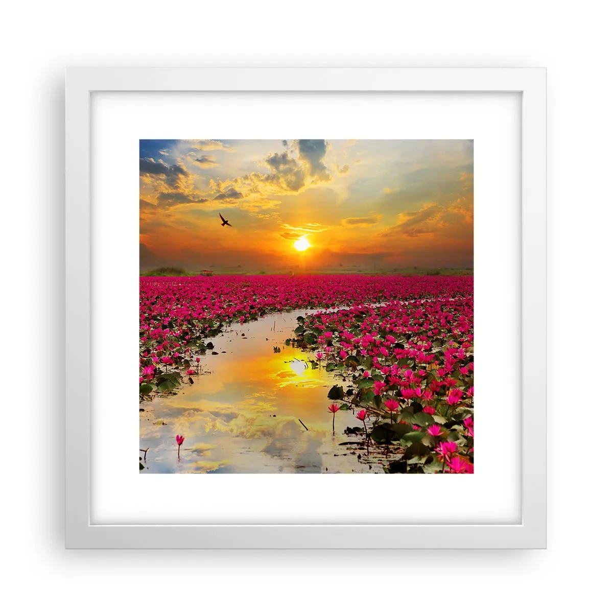 Affiche dans un cadre blanc - Poster - La vie secrète du lac - 30x30 cm