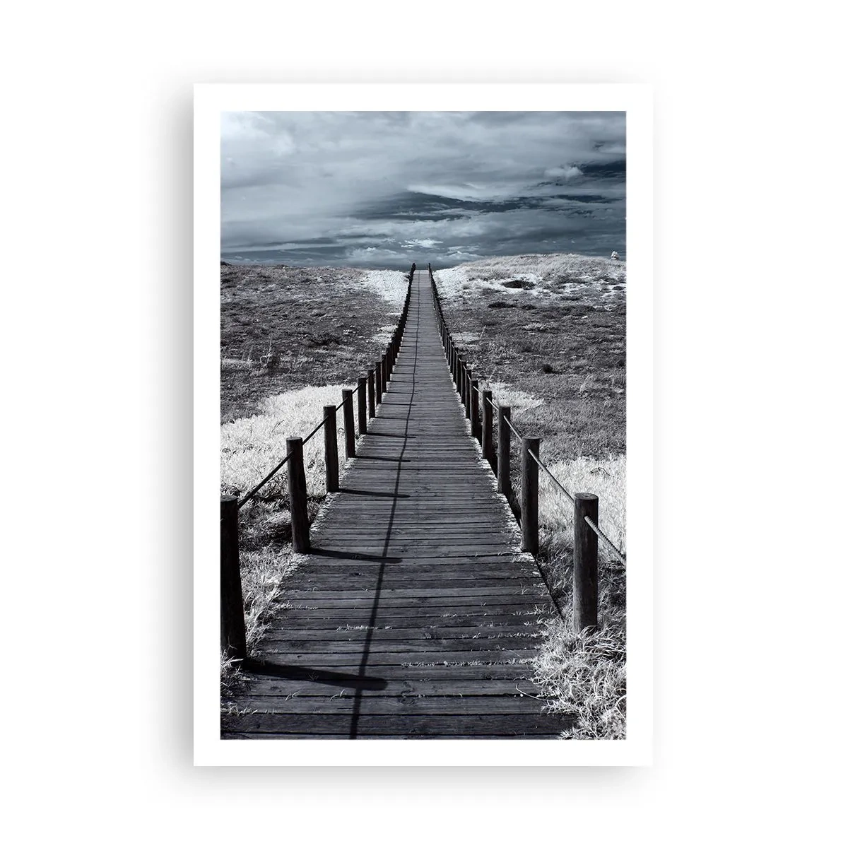 Affiche - Poster - Jusqu'au rivage - 61x91 cm