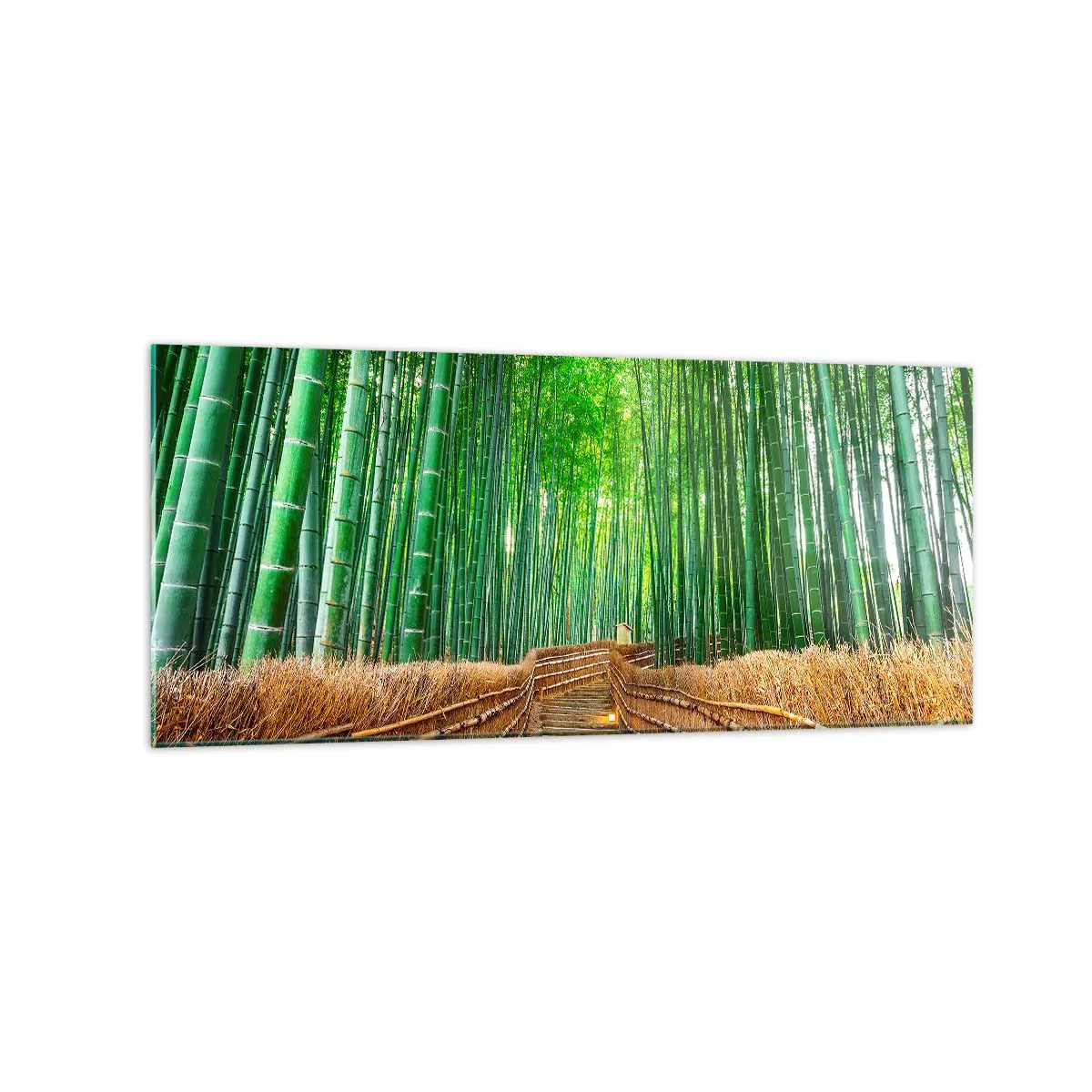 Impression sur verre - Image sur verre - Un chemin dans une dense forêt de bambous - 120x50cm - L'essence de la nature asiatique - Décoration murale moderne pour le salon et la chambre ARTTOR