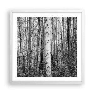 Affiche dans un cadre blanc - Poster - Enchevêtrement de bouleau - 50x50 cm