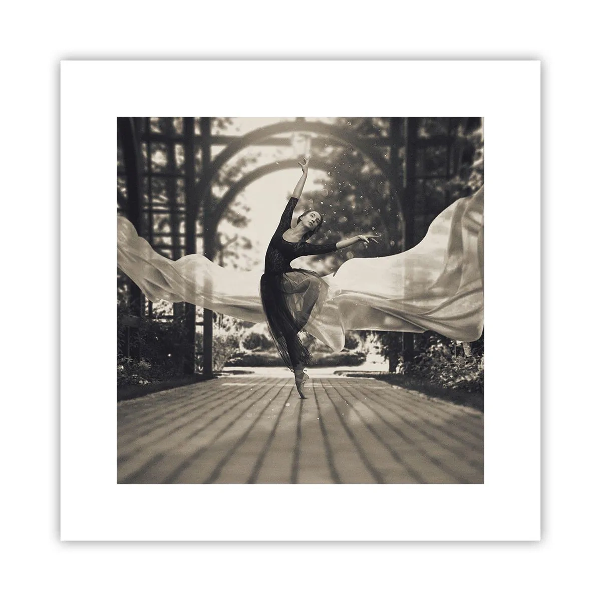 Affiche - Poster - La danse de l'esprit jardin - 30x30 cm