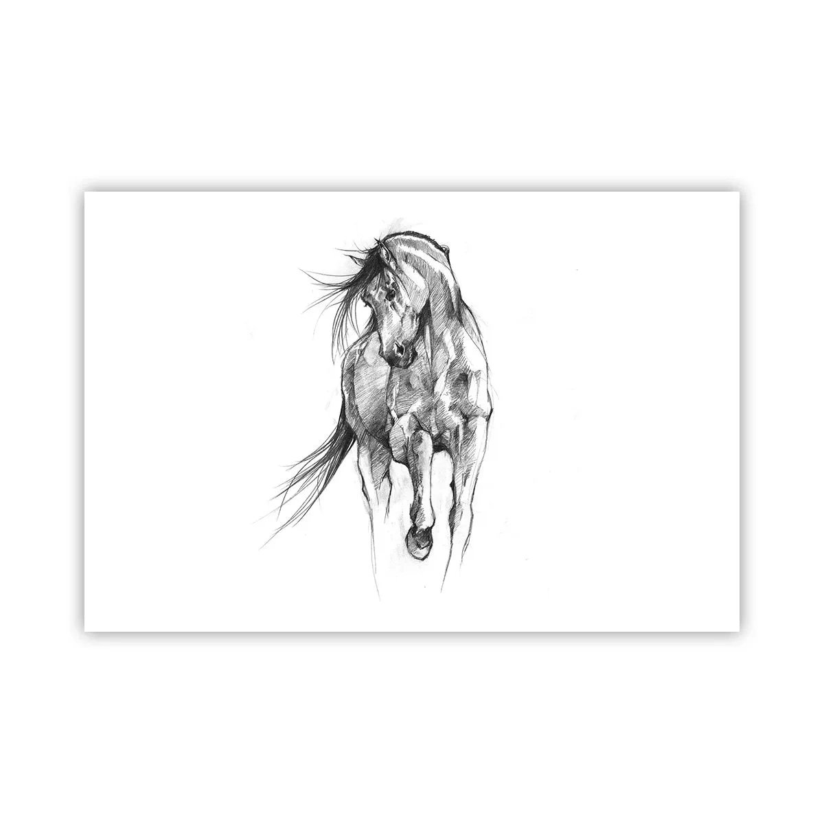 Affiche - Poster - D'un trot gracieux - 91x61 cm
