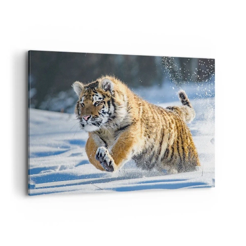 Impression sur toile - Image sur toile - Un tigre de Sibérie courant dans un paysage enneigé - 100x70cm - Dieu de la taïga sibérienne - Décoration murale moderne pour le salon et la chambre ARTTOR