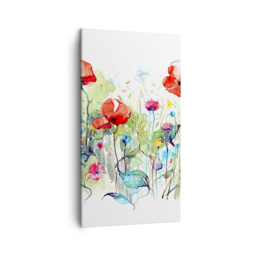 Impression sur toile - Image sur toile - Prairie de fleurs en mai - 45x80 cm
