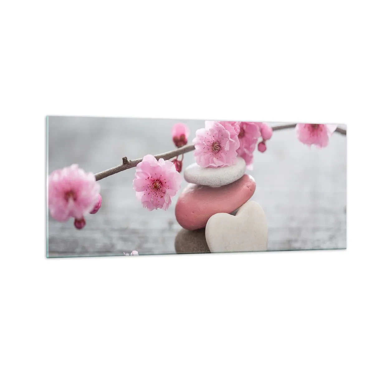 Impression sur verre - Image sur verre - Le bonheur avec une fleur de cerisier - 100x40 cm