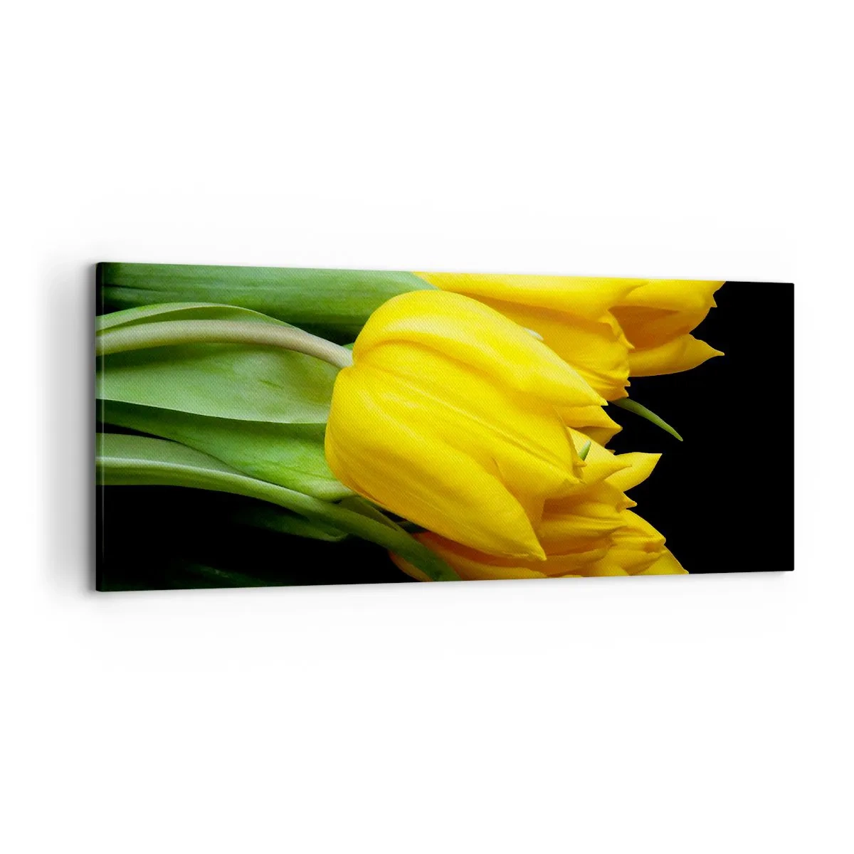 Impression sur toile - Image sur toile - Un bouquet de tulipes jaunes sur fond noir - 120x50cm - Lever de soleil pur - Décoration murale moderne pour le salon et la chambre ARTTOR