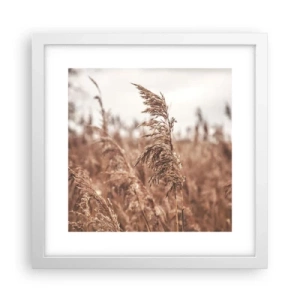 Affiche dans un cadre blanc - Poster - C'est déjà l'automne dans les champs - 30x30 cm