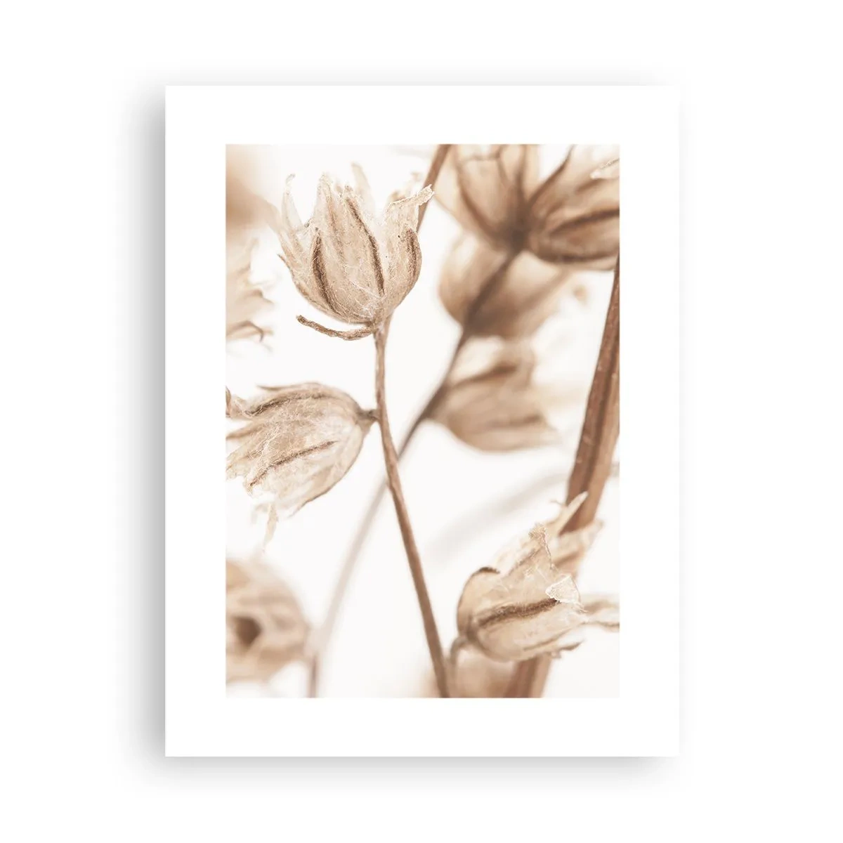 Affiche - Poster - Ils appellent à la fin de l'été - 30x40 cm