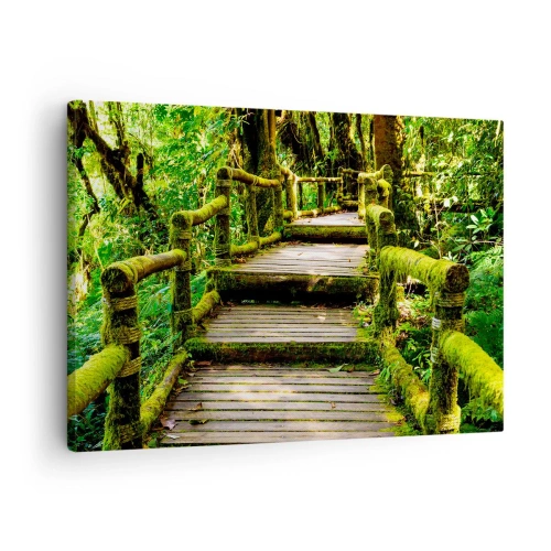 Impression sur toile - Image sur toile - Un pont en bois recouvert de mousse dans une forêt tropicale - 70x50cm - Un couloir de verdure - Décoration murale moderne pour le salon et la chambre ARTTOR