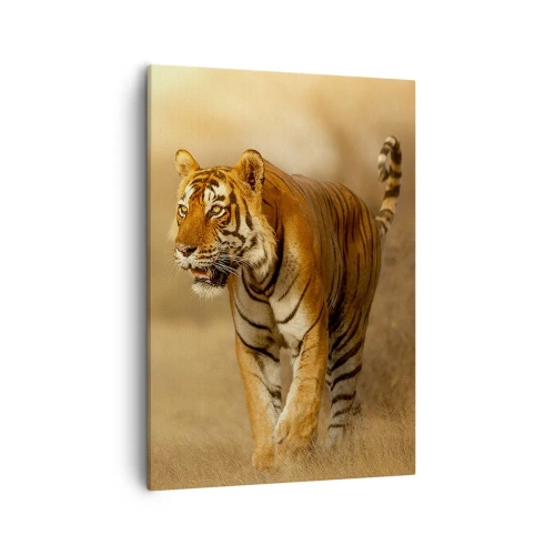 Impression sur toile - Image sur toile - Un tigre marchant dans la savane aux couleurs chaudes - 50x70cm - Avant l'attaque - Décoration murale moderne pour le salon et la chambre ARTTOR