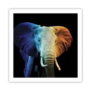 Affiche - Poster - Excentrique, pas bizarre - 60x60 cm