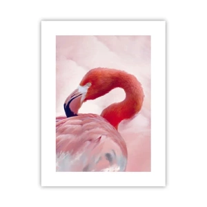 Affiche - Poster - Beauté des oiseaux - 30x40 cm