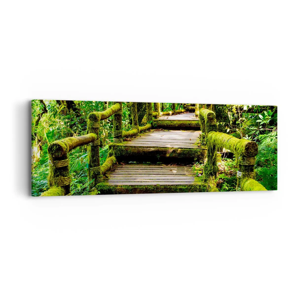 Impression sur toile - Image sur toile - Un couloir de verdure - 90x30 cm
