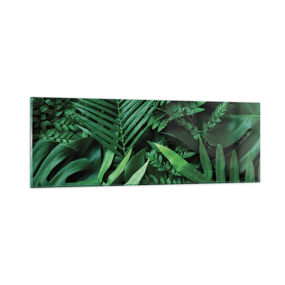 Impression sur verre - Image sur verre - Emmitouflé de verdure - 90x30 cm