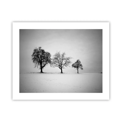 Affiche - Poster - A quoi rêvent-ils? - 50x40 cm