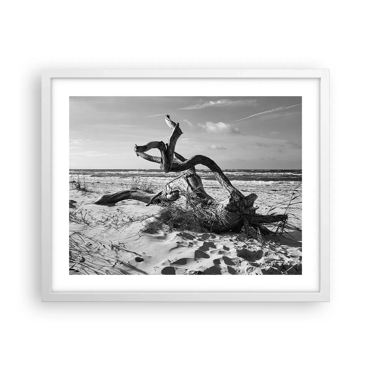 Affiche dans un cadre blanc - Poster - Sculpture marine - 50x40 cm