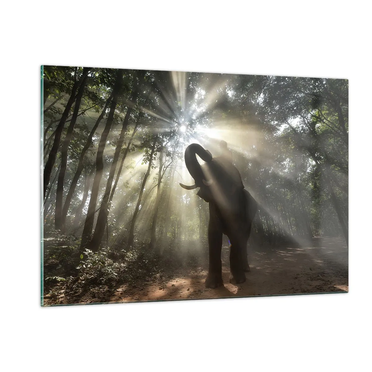 Impression sur verre - Image sur verre - Un éléphant dans une forêt éclairée par la lumière du soleil - 120x80cm - Sous la bonne étoile - Décoration murale moderne pour le salon et la chambre ARTTOR
