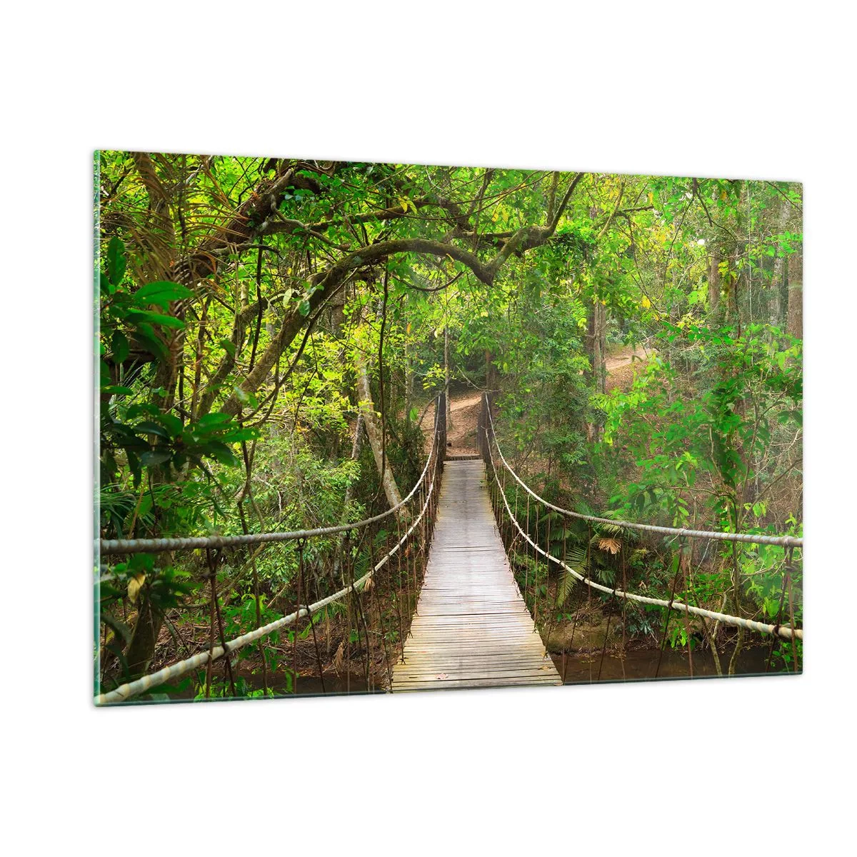 Impression sur verre - Image sur verre - Pont suspendu dans une forêt tropicale - 120x80cm - Parce qu'il y a une plante grimpante dans le jardin - Décoration murale moderne pour le salon et la chambre ARTTOR