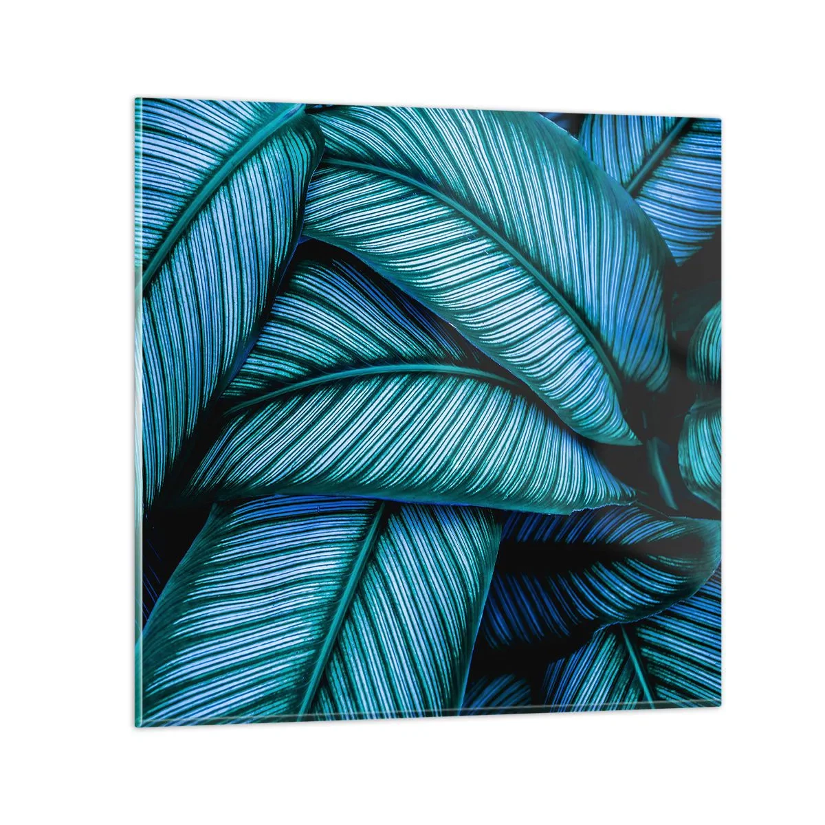 Impression sur verre - Image sur verre - Lignes de vie - 60x60 cm