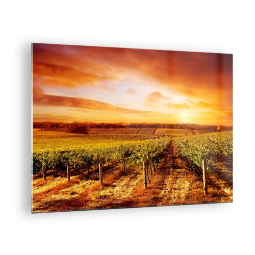 Impression sur verre - Image sur verre - Vignes dans un champ au coucher du soleil - 70x50cm - Légèrement fruité avec une pointe de soleil - Décoration murale moderne pour le salon et la chambre ARTTOR