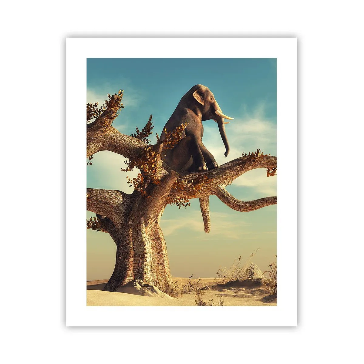 Affiche - Poster - Nouveau point de vue - 40x50 cm