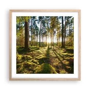Affiche dans un chêne clair - Poster - … Derrière les sept forêts - 50x50 cm