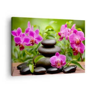 Impression sur toile - Image sur toile - Orchidées roses avec des pierres sur fond vert - 70x50cm - Pyramide de la Paix - Décoration murale moderne pour le salon et la chambre ARTTOR