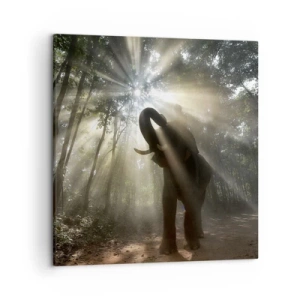 Impression sur toile - Image sur toile - Sous la bonne étoile - 50x50 cm