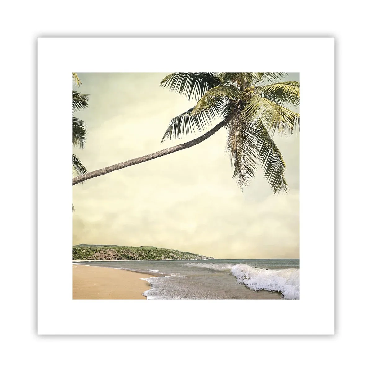 Affiche - Poster - Rêve tropical - 30x30 cm