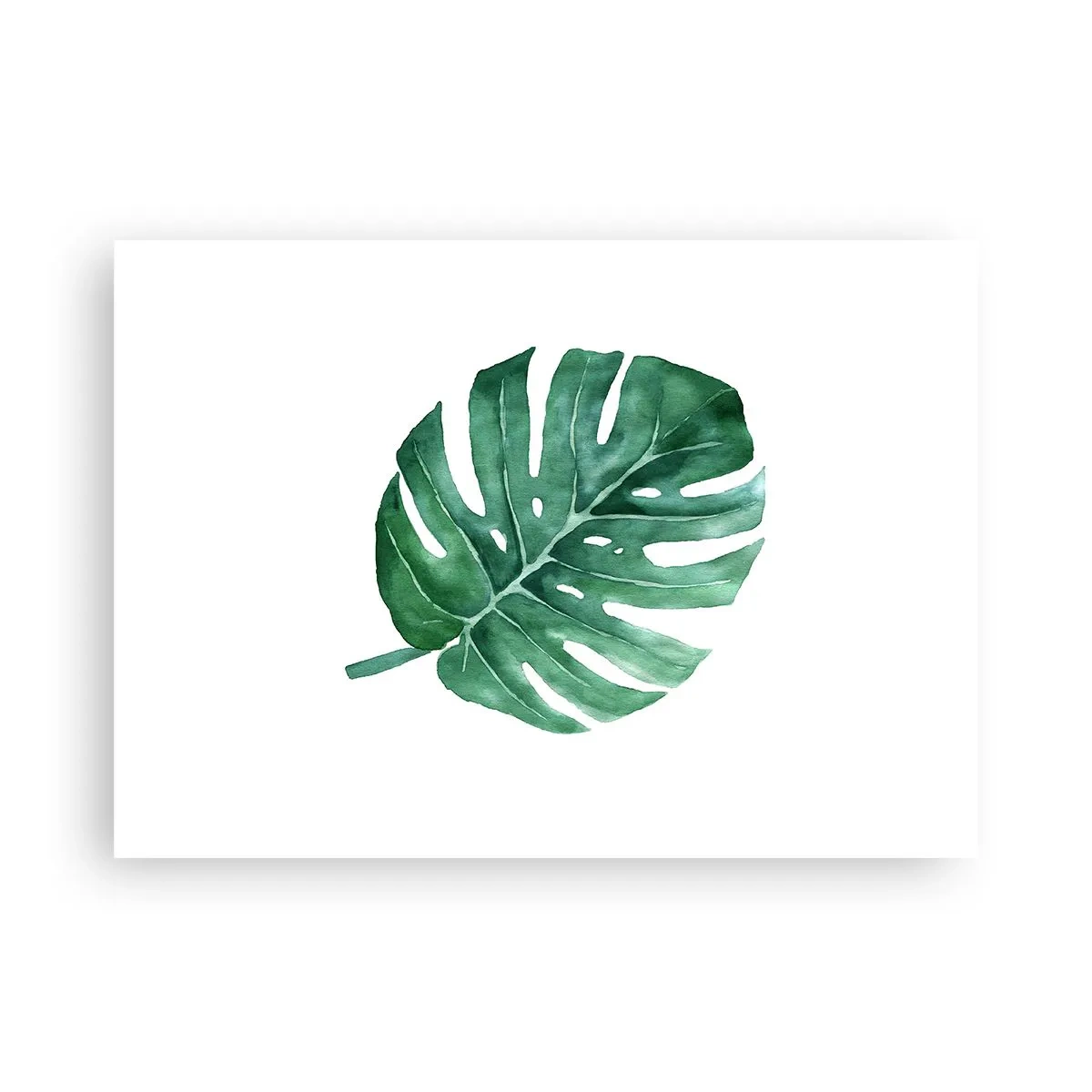 Affiche - Poster - Concept vert - 70x50 cm