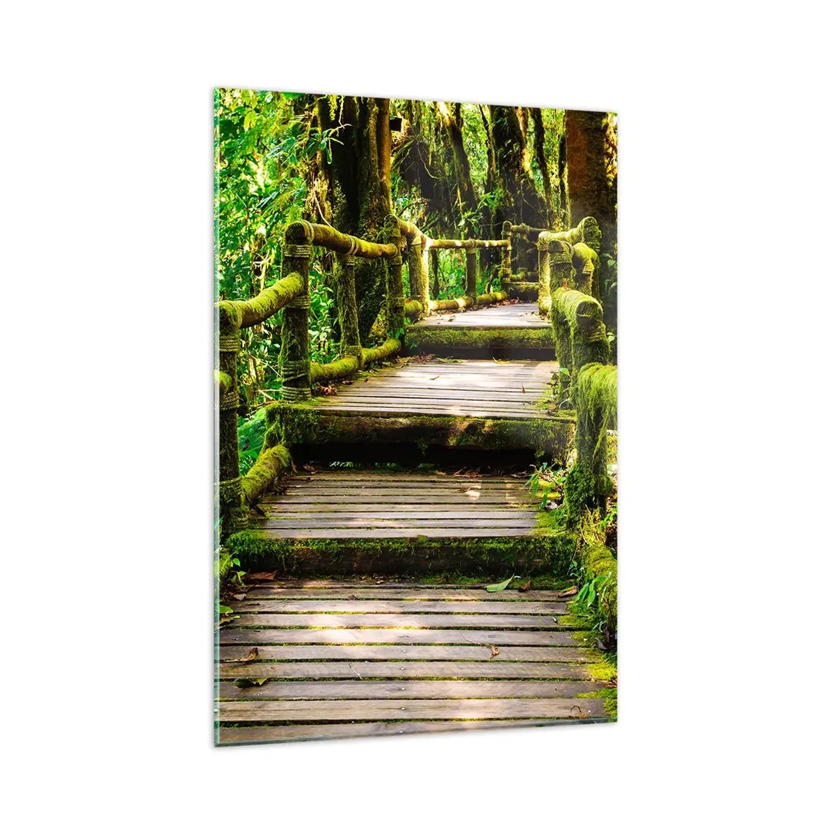 Impression sur verre - Image sur verre - Un pont en bois recouvert de mousse dans une forêt tropicale - 80x120cm - Un couloir de verdure - Décoration murale moderne pour le salon et la chambre ARTTOR