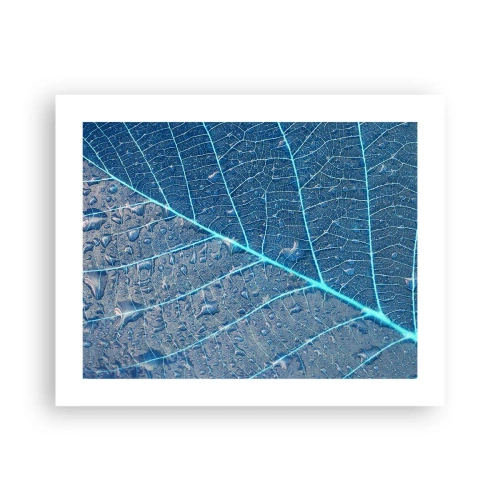 Affiche - Poster - La vie en bleu - 50x40 cm