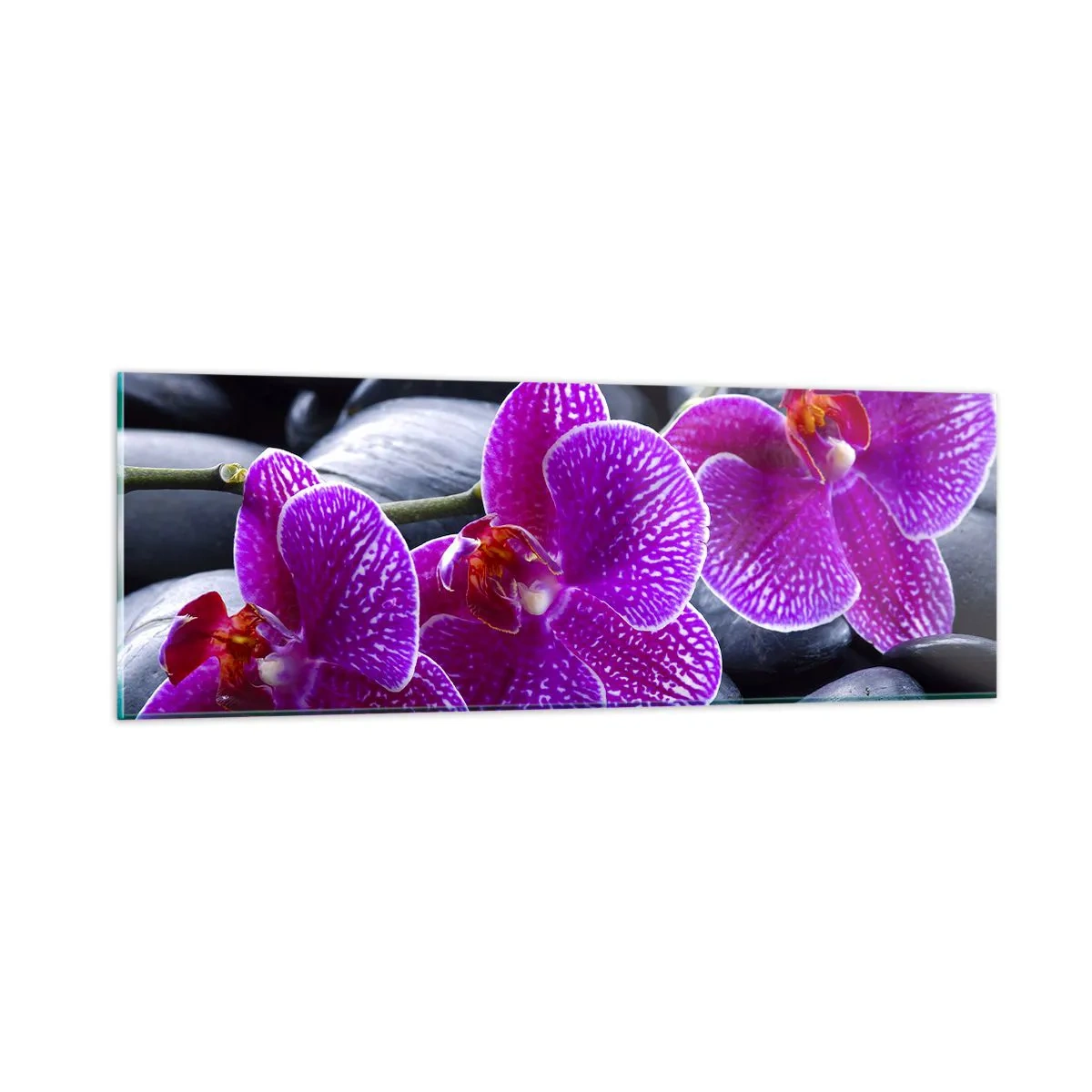 Impression sur verre - Image sur verre - Les pierres brillaient de joie - 90x30 cm