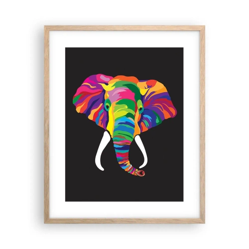 Affiche dans un chêne clair - Poster - L'éléphant qui aimait se baigner dans un arc-en-ciel - 40x50 cm