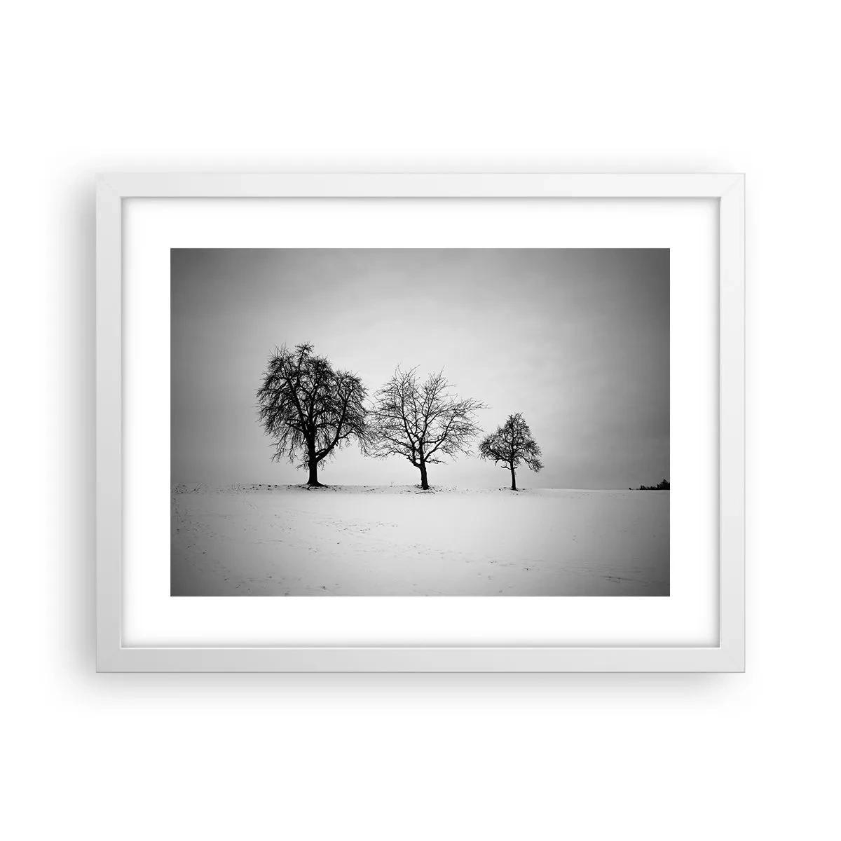 Affiche dans un cadre blanc - Poster - A quoi rêvent-ils? - 40x30 cm