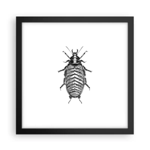 Affiche dans un cadre noir - Poster - Quel spécimen! - 30x30 cm