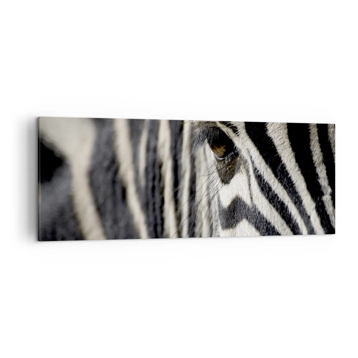 Impression sur toile - Image sur toile - Gros plan de l'œil d'un zèbre avec des rayures noires et blanches - 140x50cm - Portrait en rayure - Décoration murale moderne pour le salon et la chambre ARTTOR