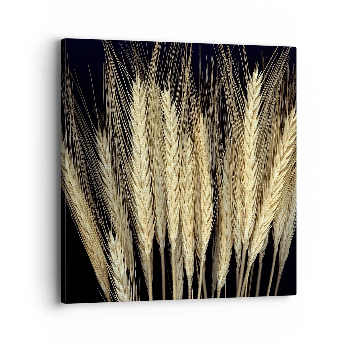 Impression sur toile - Image sur toile - Magie rustique - 40x40 cm