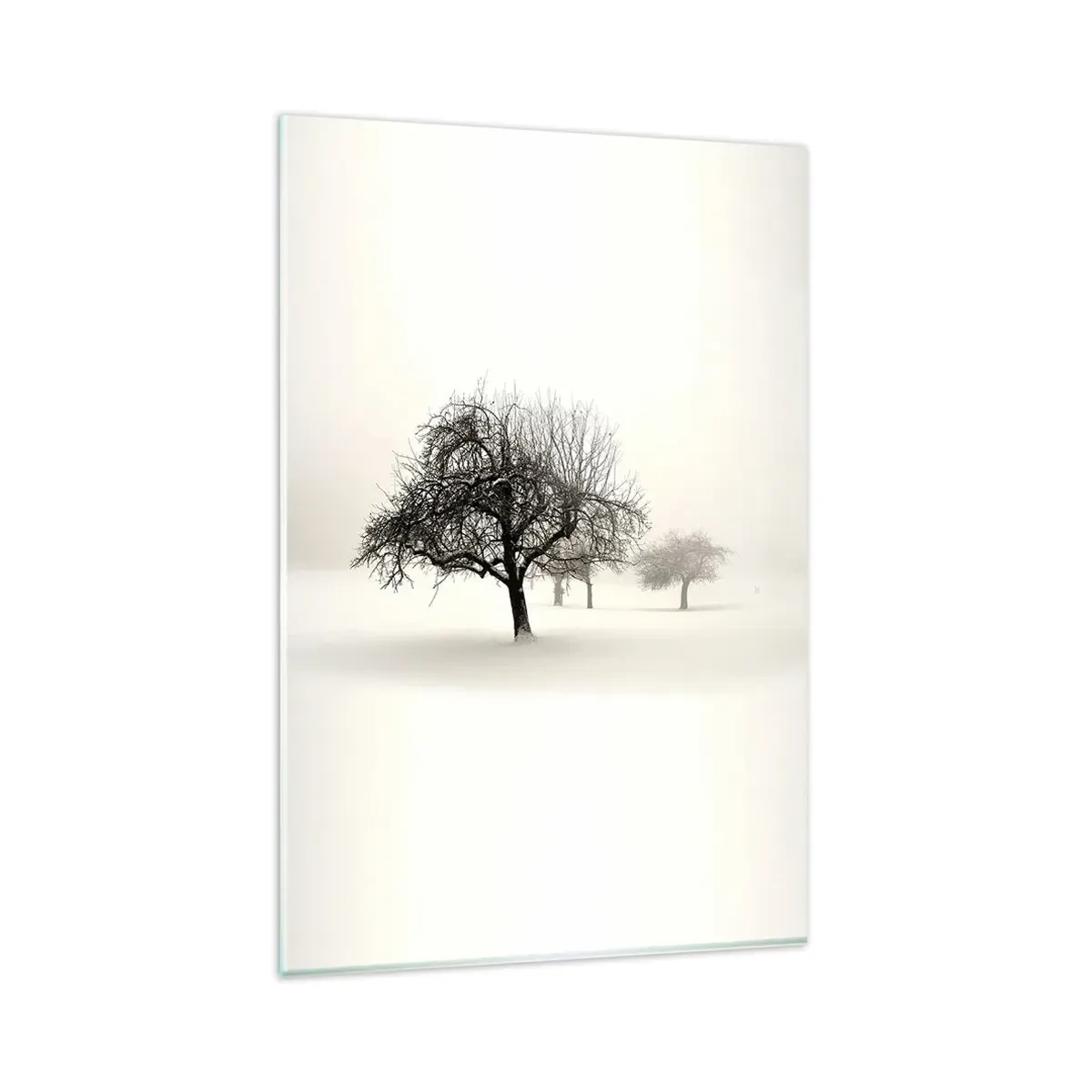 Impression sur verre - Image sur verre - Arbres dans un champ enneigé entouré de brouillard - 80x120cm - Un rêve hivernal - Décoration murale moderne pour le salon et la chambre ARTTOR