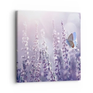 Impression sur toile - Image sur toile - Baiser de papillon - 40x40 cm