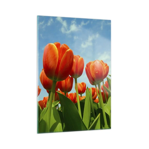 Impression sur verre - Image sur verre - Un champ de tulipes rouges sous un ciel bleu - 50x70cm - A part le ciel bleu, ils n'ont besoin de rien dans leur vie - Décoration murale moderne pour le salon et la chambre ARTTOR