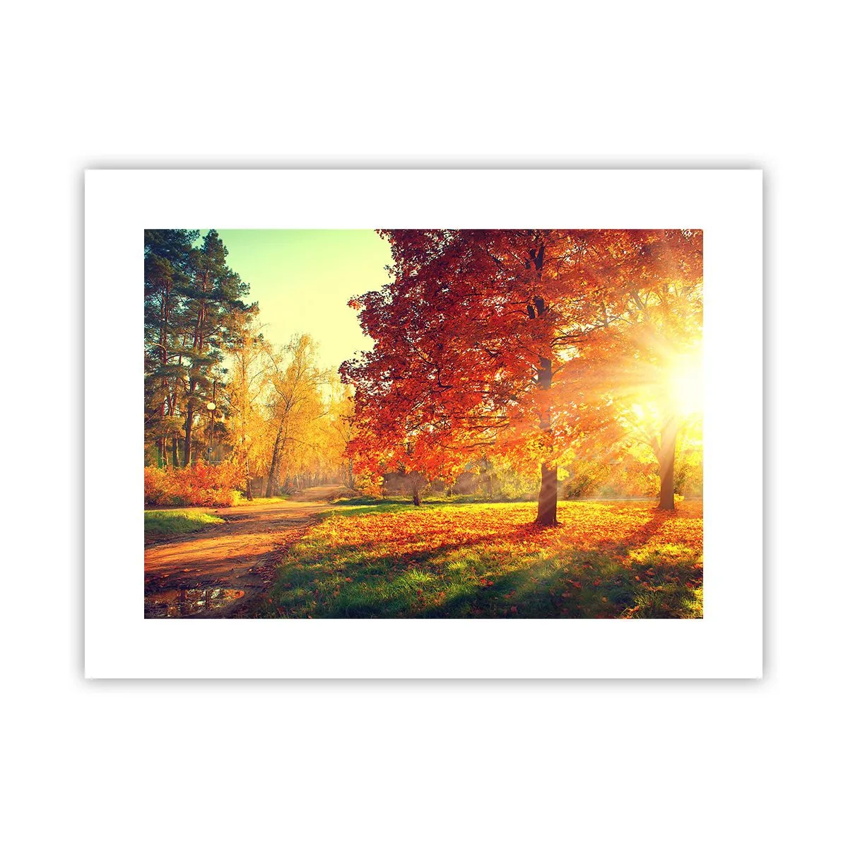 Affiche - Poster - Le roux est beau - 40x30 cm