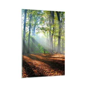 Impression sur verre - Image sur verre - Une forêt sous les rayons du soleil dans un paysage d'automne - 50x70cm - Ombres et lumières - Décoration murale moderne pour le salon et la chambre ARTTOR