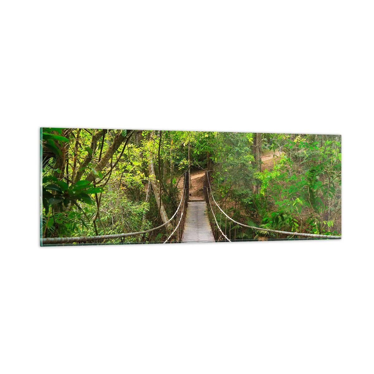 Impression sur verre - Image sur verre - Parce qu'il y a une plante grimpante dans le jardin - 90x30 cm