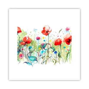 Affiche - Poster - Prairie de fleurs en mai - 30x30 cm